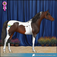 Horse Color:Bay Tobiano 