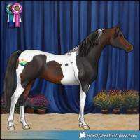 Horse Color:Bay Tobiano 