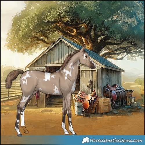 Horse Color:White Spotted Liver Red Dun 
