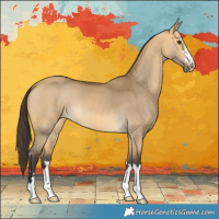 Horse Color:Buckskin Dun 