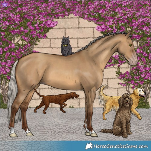 Horse Color:Gray Silver Sable Champagne Dun 