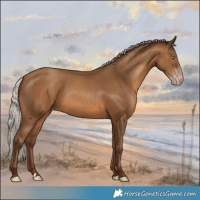 Horse Color:Gray Silver Sable Champagne 