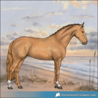 Horse Color:Chestnut and Chestnut