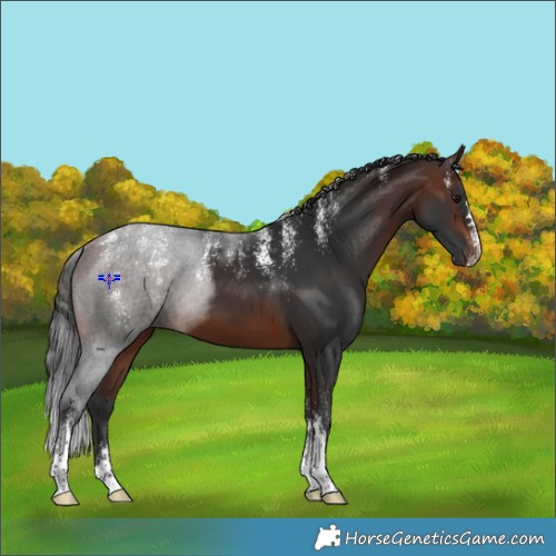 Horse Color:Powder White Brown 