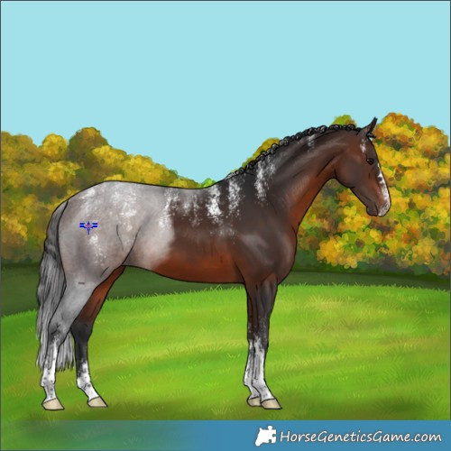 Horse Color:Powder White Brown