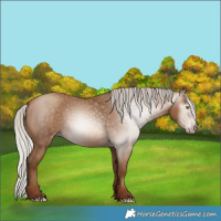 Horse Color:Gray Silver Sable Champagne 