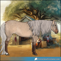 Horse Color:Silver Bay Dun Rabicano