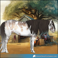 Horse Color:White Spotted Liver Red Onyx Ice Splash 