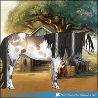 Horse Color:White Spotted Liver Red Onyx Ice Splash 