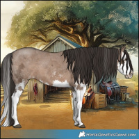 Horse Color:White Spotted Liver Red Dun Ice Splash 