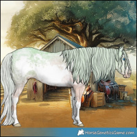 Horse Color:Watercolor Silver Classic Champagne Ice Dun Splash Frame 