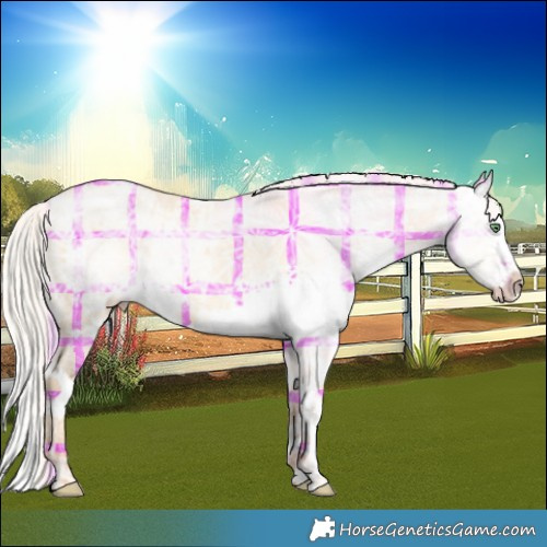 Horse Color:Plaid  White Spotted Silver Classic Champagne Ice Dun Splash 