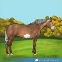 Horse Color:Gray Silver Sable Champagne Frame