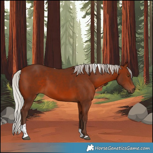 Horse Color:White Spotted Silver Brown Tobiano Rabicano