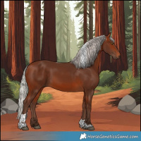 Horse Color:White Spotted Silver Brown Tobiano Rabicano 