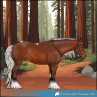 Horse Color:Silver Brown Tobiano Rabicano