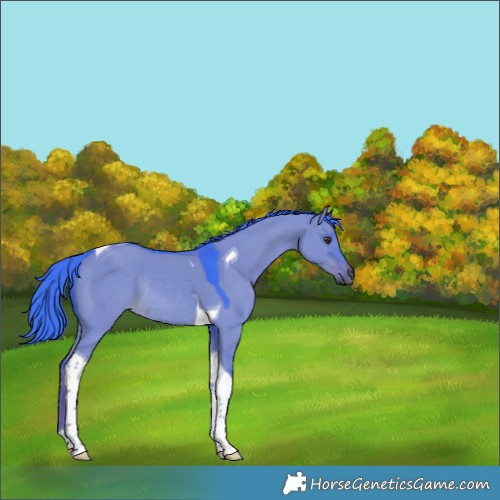Horse Color:Watercolor Liver Red Dun Tobiano Rabicano 