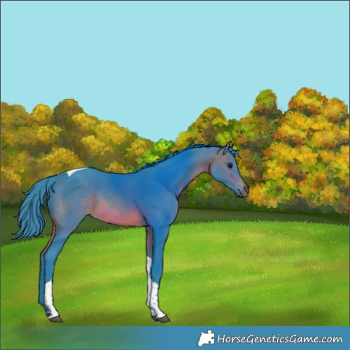 Horse Color:Watercolor Brown Tobiano Rabicano 