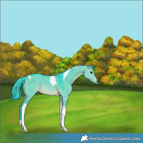 Horse Color:Watercolor Brown Dun Tobiano Rabicano 