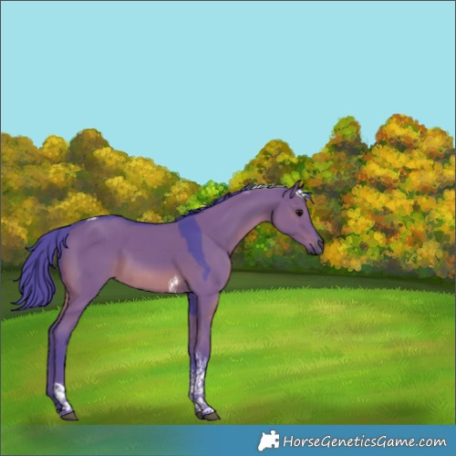 Horse Color:Watercolor Grullo Tobiano Rabicano 
