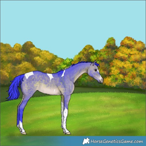 Horse Color:Watercolor Brown Dun Tobiano Rabicano 