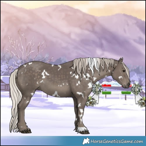 Horse Color:White Spotted Silver Black 