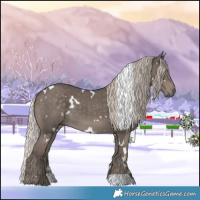 Horse Color:White Spotted Silver Black 