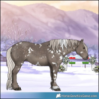 Horse Color:White Spotted Silver Black 