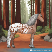 Horse Color:Silver Bay Tobiano Near Leopard Rabicano 