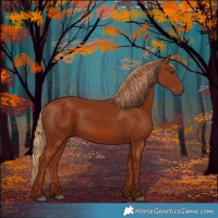 Horse Color:Chestnut Rabicano 