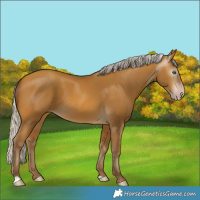 Horse Color:Gray Silver Sable Cream Champagne