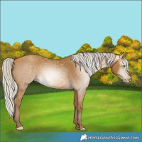 Horse Color:Gray Silver Sable Cream Champagne 