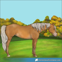 Horse Color:Gray Silver Sable Cream Champagne 