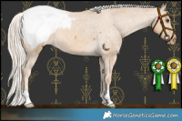 Horse Color:Palomino Snowcap 