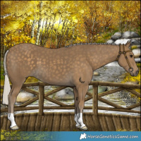 Horse Color:Silver Smoky Black 