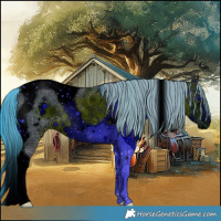 Horse Color:ERROR: UNKNOWN ANOMALY