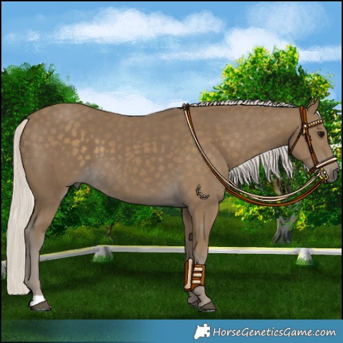 Horse Color:Silver Smoky Black 