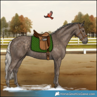 Horse Color:Silver Smoky Black 