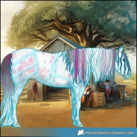 Horse Color:Thunderstruck Chocolate Buckskin Ice Dun Splash Tobiano 