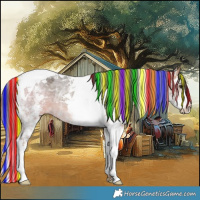 Horse Color:Painted White Spotted Buckskin Ice Tobiano Rabicano 