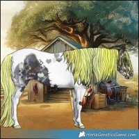 Horse Color:Painted White Spotted Midnight Silver Buckskin Ice Dun Tobiano 