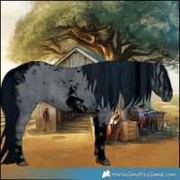 Horse Color:ERROR: UNKNOWN ANOMALY