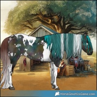 Horse Color:White Spotted Midnight Chocolate Buckskin Onyx Tobiano Rabicano