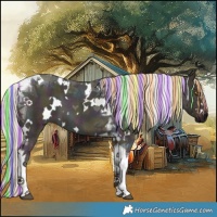 Horse Color:Painted White Spotted Midnight Chocolate Silver Buckskin Ice Dun Tobiano 
