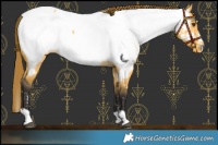 Horse Color:Buckskin Dun Near Fewspot 