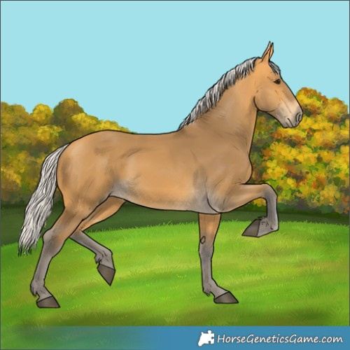 Horse Color:Silver Buckskin 
