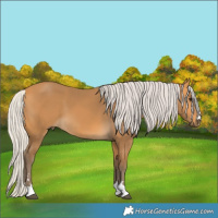 Horse Color:Silver Buckskin