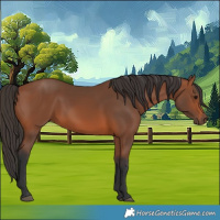 Horse Color:Unknown 