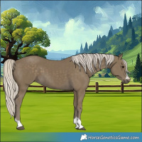 Horse Color:Silver Smoky Black 