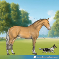 Horse Color:Silver Buckskin 